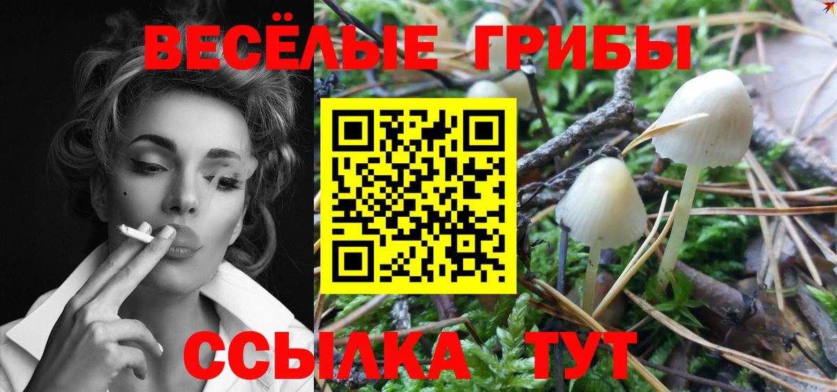 Соль-Илецк  Галлюциногенные грибы MAGIC MUSHROOMS  Вход с VPN 