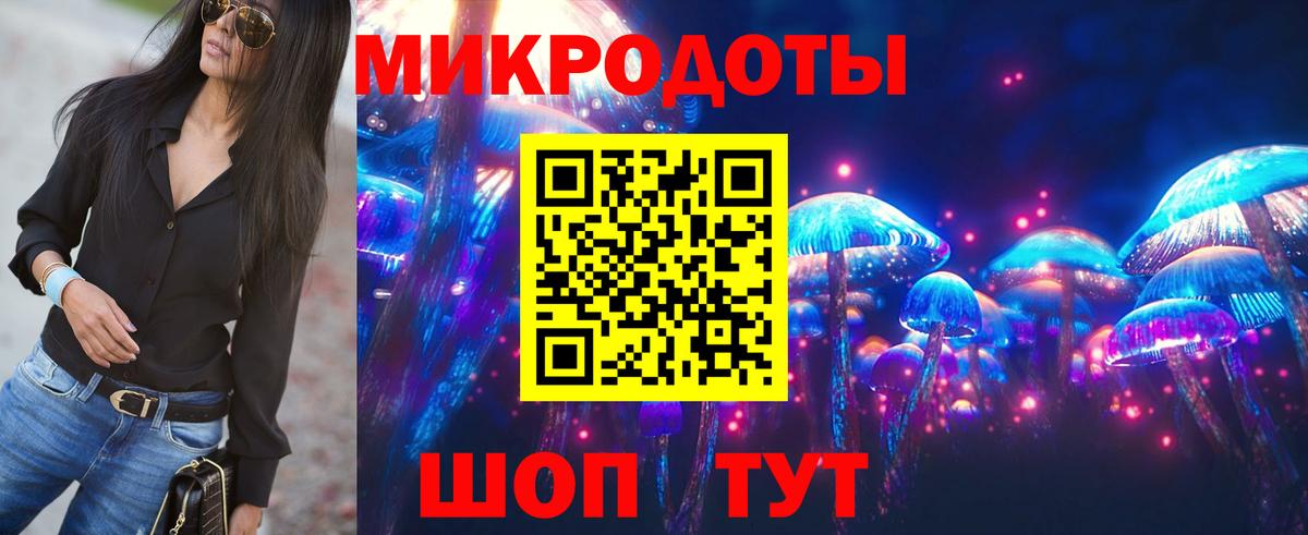 Галлюциногенные грибы Psilocybe Соль-Илецк